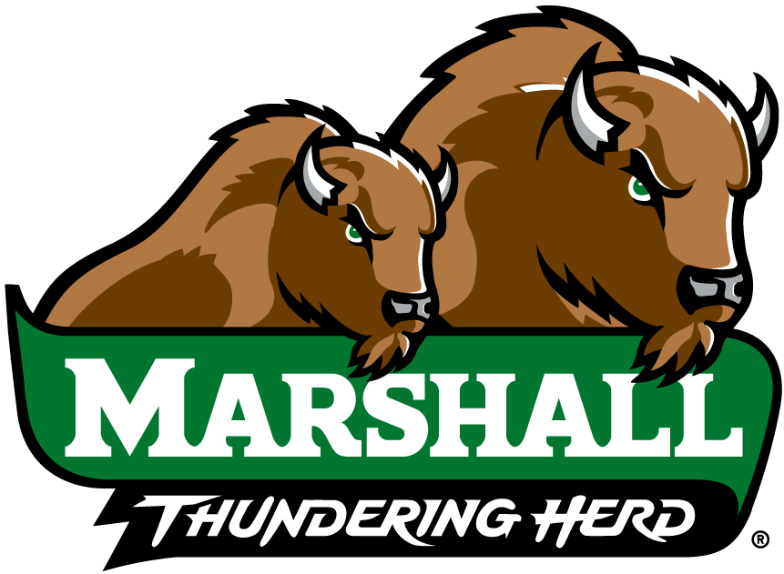 Marshall Thundering Herd 2001-Pres Alternate Logo v4 iron on transfers for fabric
